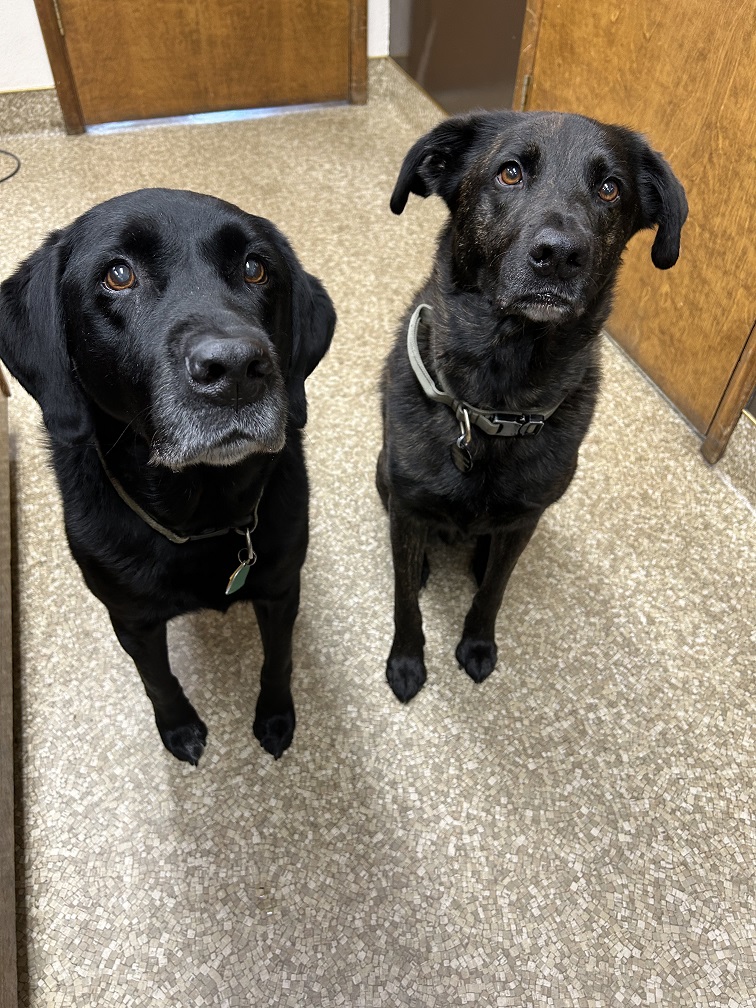 Marco & Remi