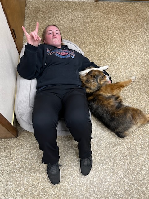 Skyla trying out Dan's new dog bed