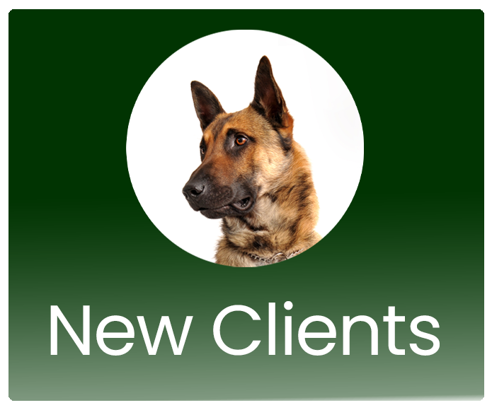 New Clients — Mission Valley Veterinary Clinic