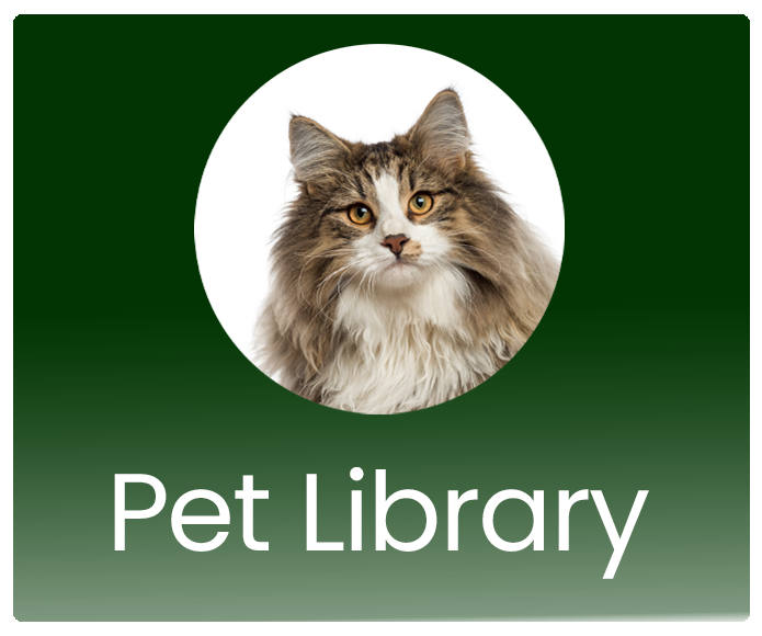 Pet Library — Mission Valley Veterinary Clinic