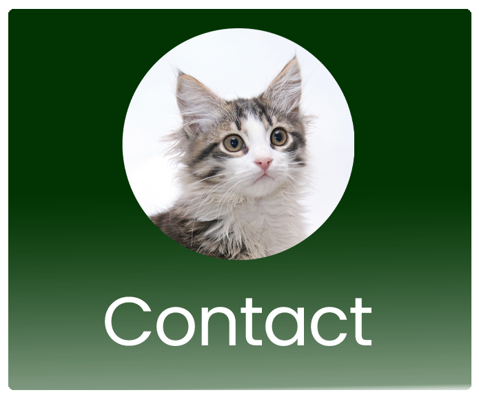 Contact Us — Mission Valley Veterinary Clinic
